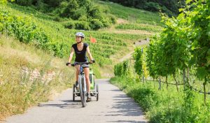Photo d'une cycliste près des vignes