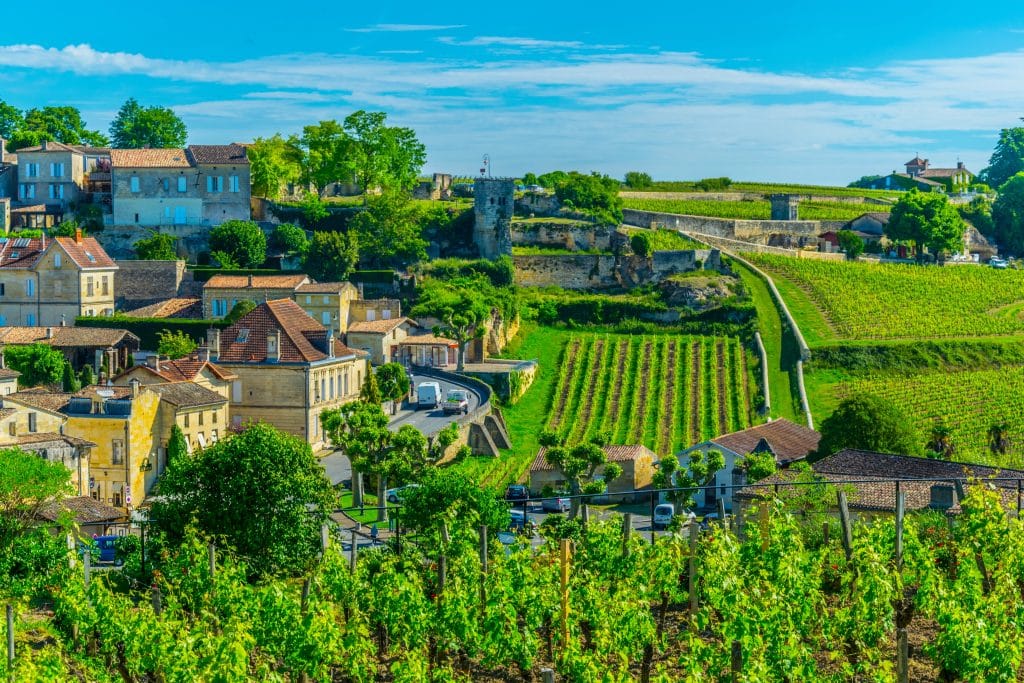 Visiter la Gironde. De la Tour du Roy aux bords de la Dordogne, notre guide des plus beaux points de vue à Saint-Émilion 2 Photo générale et colorée des vignobles proches de Saint Emilion
