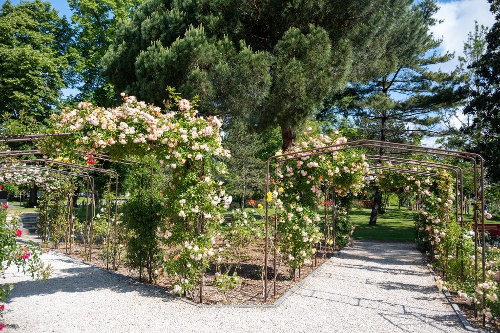 Gironde. Nos conseils, au-delà des plages : 3 lieux historiques et insolites pour redécouvrir le vrai visage d'Arcachon 1 Rosarium Arcachon
