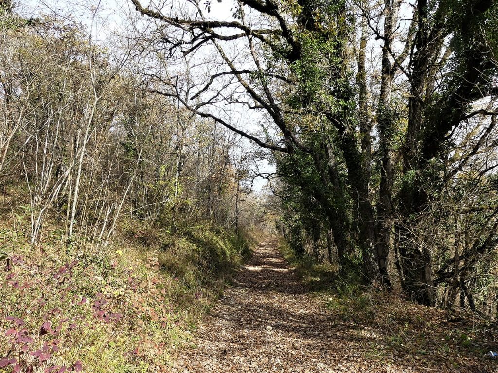 Sud-Ouest. La légende veut qu'un lapin géant ait capturé des promeneurs dans cette cité classée parmi "Les plus beaux villages de France" 1 Chemin dans le causse de Terrasson au Pech de la Fourche, Saint-Amand-de-Coly, Dordogne